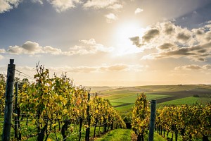 route du beaujolais